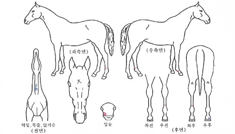���丮������ ����,���,�޸�,�λ�,�ٸ��� Ư¡����