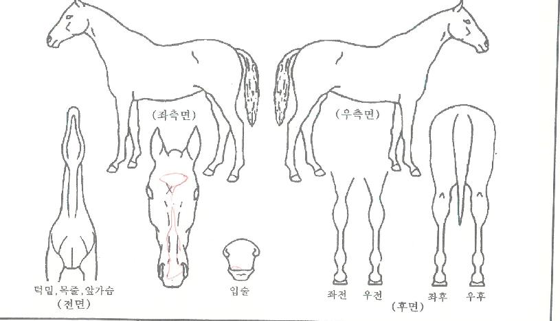 ����޴����� ����,���,�޸�,�λ�,�ٸ��� Ư¡����