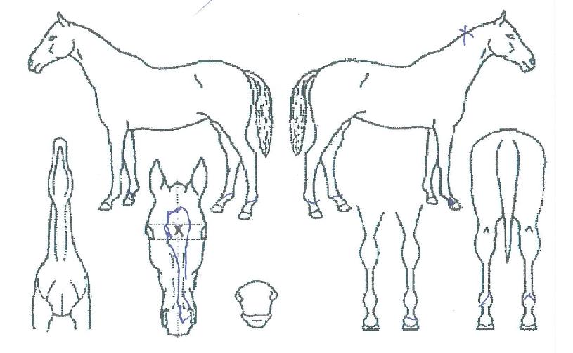 ũ��������ũ�� ����,���,�޸�,�λ�,�ٸ��� Ư¡����