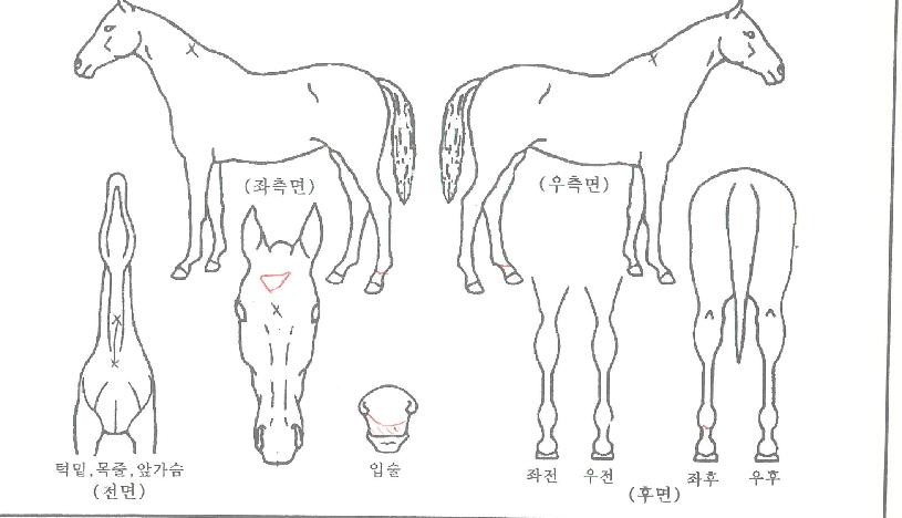 ȣũ���� ����,���,�޸�,�λ�,�ٸ��� Ư¡����