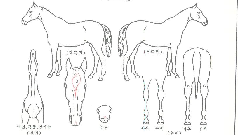 ���׷����� ����,���,�޸�,�λ�,�ٸ��� Ư¡����