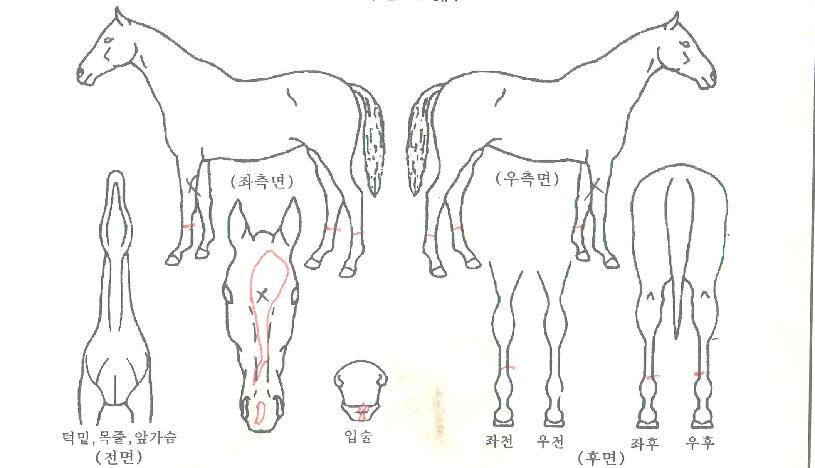 ��´��и����� ����,���,�޸�,�λ�,�ٸ��� Ư¡����