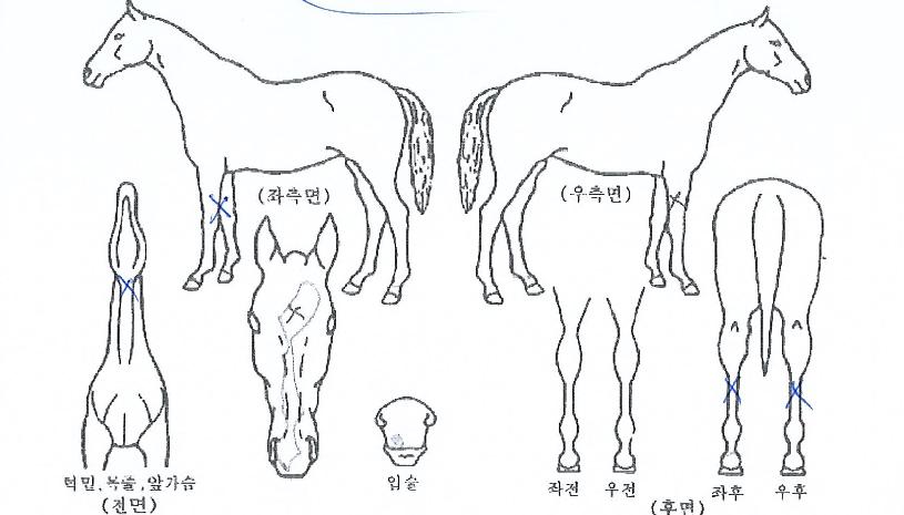 ��¼������� ����,���,�޸�,�λ�,�ٸ��� Ư¡����