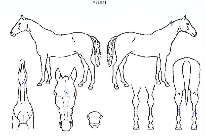 ¸íÁøÆÄ¿öÀÇ Ãø¸é,¿ì¸é,µÞ¸é,µÎ»ó,´Ù¸®ÀÇ Æ¯Â¡µµÇØ