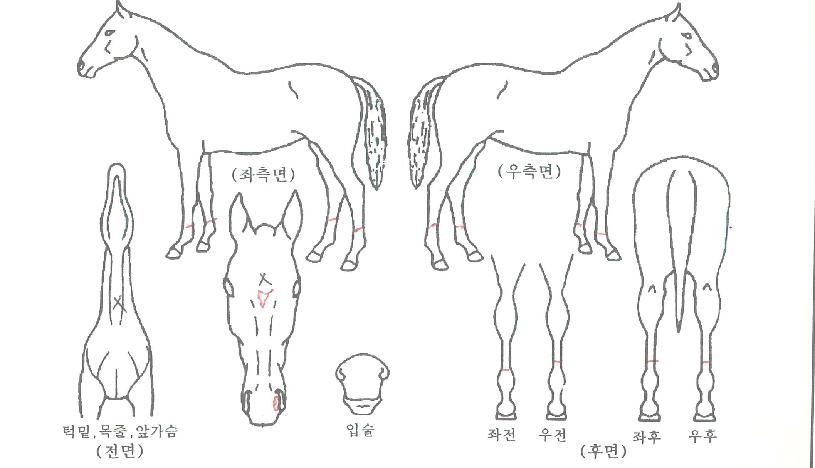 ���������̽��� ����,���,�޸�,�λ�,�ٸ��� Ư¡����