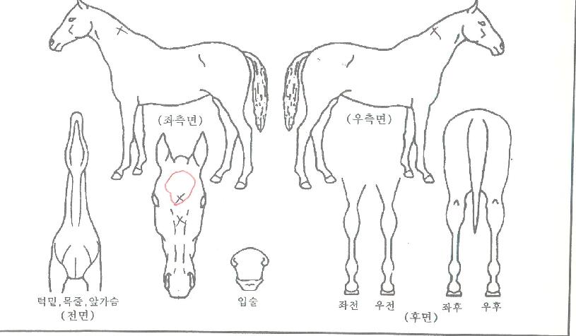 ����Ǯ��ũ���� ����,���,�޸�,�λ�,�ٸ��� Ư¡����