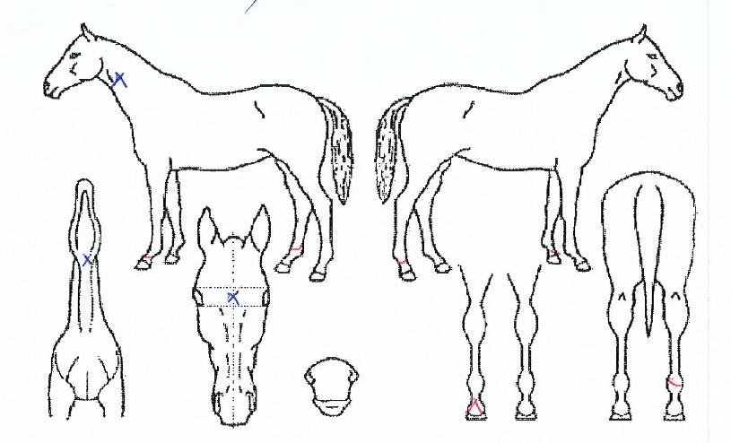 ¸íÁøºê·¹À̽ÌÀÇ Ãø¸é,¿ì¸é,µÞ¸é,µÎ»ó,´Ù¸®ÀÇ Æ¯Â¡µµÇØ