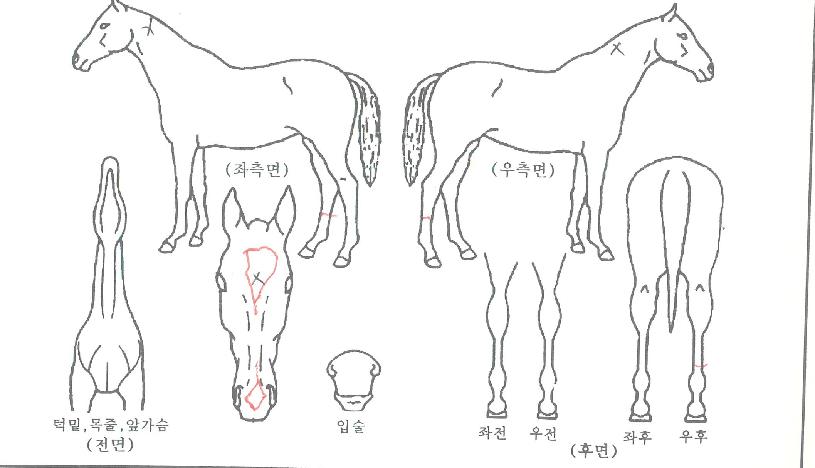 Ÿ�̰ź����� ����,���,�޸�,�λ�,�ٸ��� Ư¡����