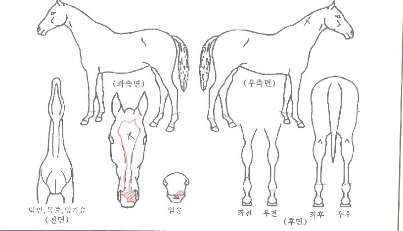 ��Ʈ����Ʈ���� ����,���,�޸�,�λ�,�ٸ��� Ư¡����