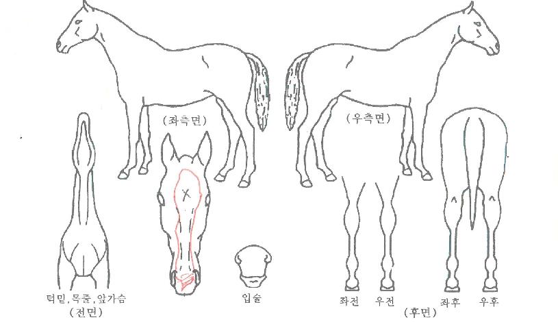 ��Ű����� ����,���,�޸�,�λ�,�ٸ��� Ư¡����