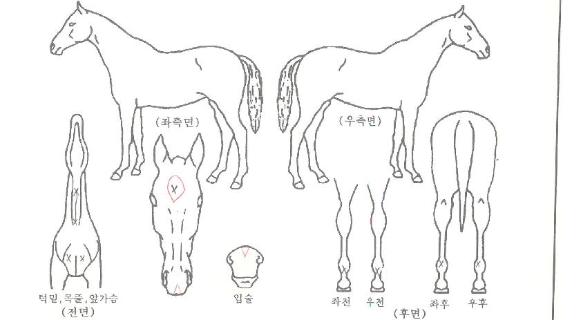 �������Ŀ��� ����,���,�޸�,�λ�,�ٸ��� Ư¡����