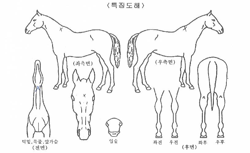 ��Űõ���� ����,���,�޸�,�λ�,�ٸ��� Ư¡����