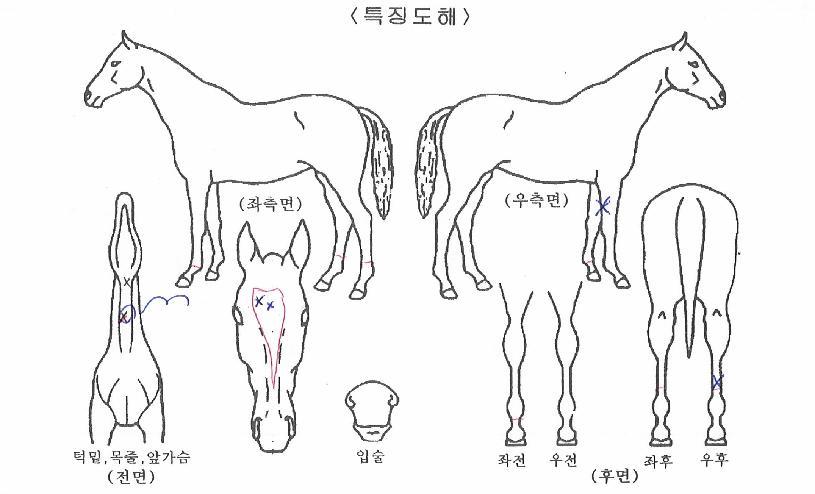 �ڷν��� ����,���,�޸�,�λ�,�ٸ��� Ư¡����