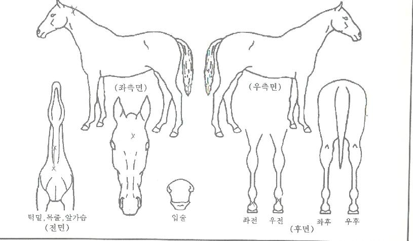 ��ũ������ ����,���,�޸�,�λ�,�ٸ��� Ư¡����