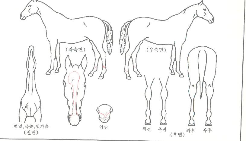 ����Ʈ������ ����,���,�޸�,�λ�,�ٸ��� Ư¡����