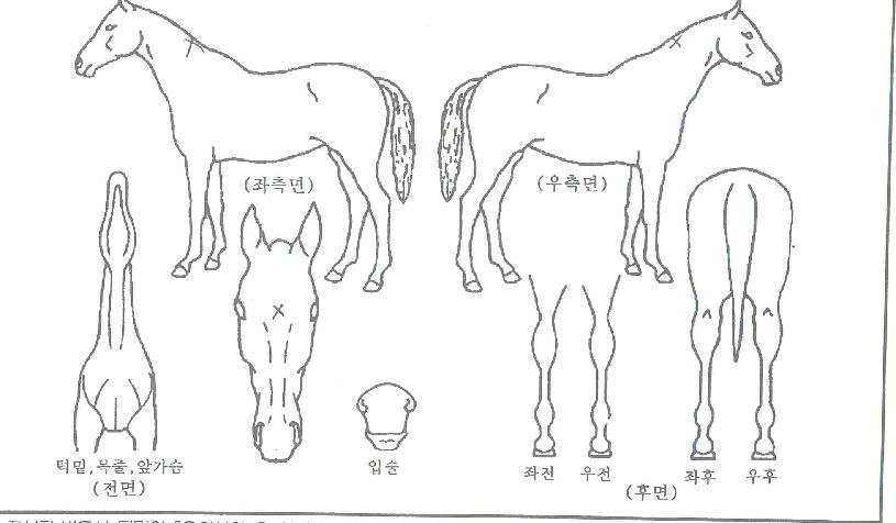 �������� ����,���,�޸�,�λ�,�ٸ��� Ư¡����