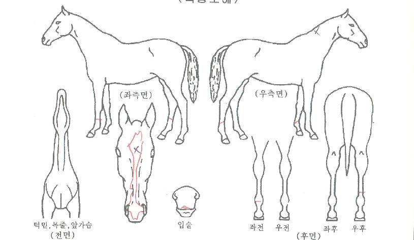 ���̽������� ����,���,�޸�,�λ�,�ٸ��� Ư¡����