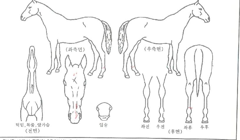 ��Ʈ����� ����,���,�޸�,�λ�,�ٸ��� Ư¡����