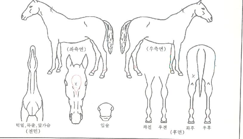 û�������� ����,���,�޸�,�λ�,�ٸ��� Ư¡����