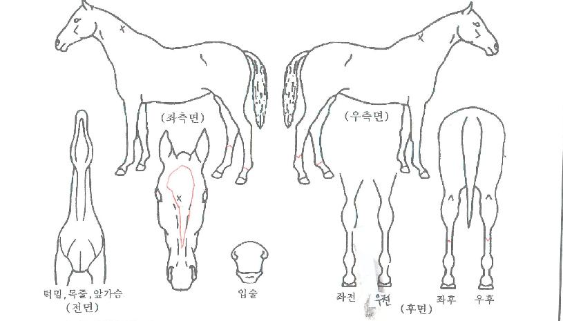 û���Ŀ��� ����,���,�޸�,�λ�,�ٸ��� Ư¡����