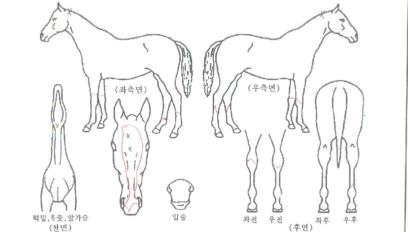 ��������� ����,���,�޸�,�λ�,�ٸ��� Ư¡����