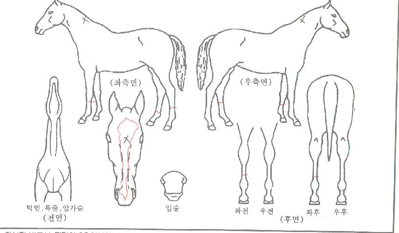 �������� ����,���,�޸�,�λ�,�ٸ��� Ư¡����