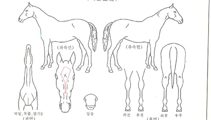 ���������� ����,���,�޸�,�λ�,�ٸ��� Ư¡����