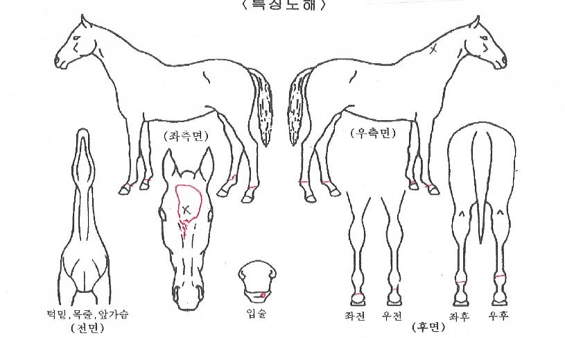 ��Ż������ ����,���,�޸�,�λ�,�ٸ��� Ư¡����