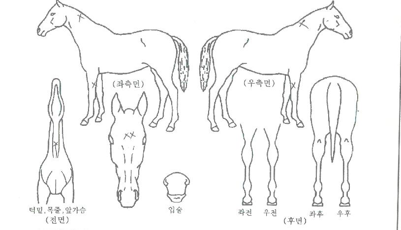 �������Լ��� ����,���,�޸�,�λ�,�ٸ��� Ư¡����