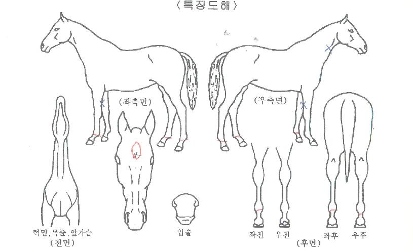 õ�ռ����� ����,���,�޸�,�λ�,�ٸ��� Ư¡����