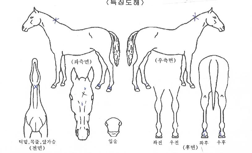 ���ũ������ ����,���,�޸�,�λ�,�ٸ��� Ư¡����