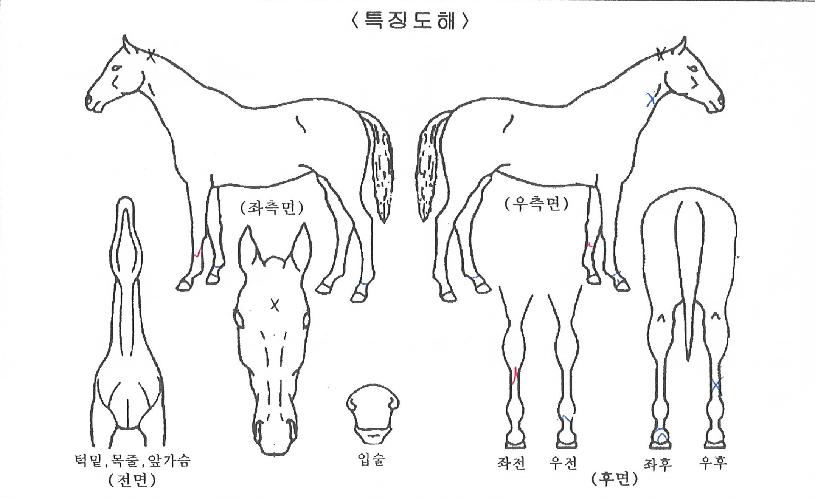 ������� ����,���,�޸�,�λ�,�ٸ��� Ư¡����