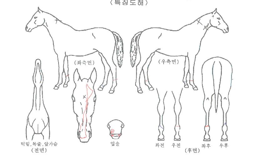 ¸ð´øÇÁ¶óÀ̵åÀÇ Ãø¸é,¿ì¸é,µÞ¸é,µÎ»ó,´Ù¸®ÀÇ Æ¯Â¡µµÇØ