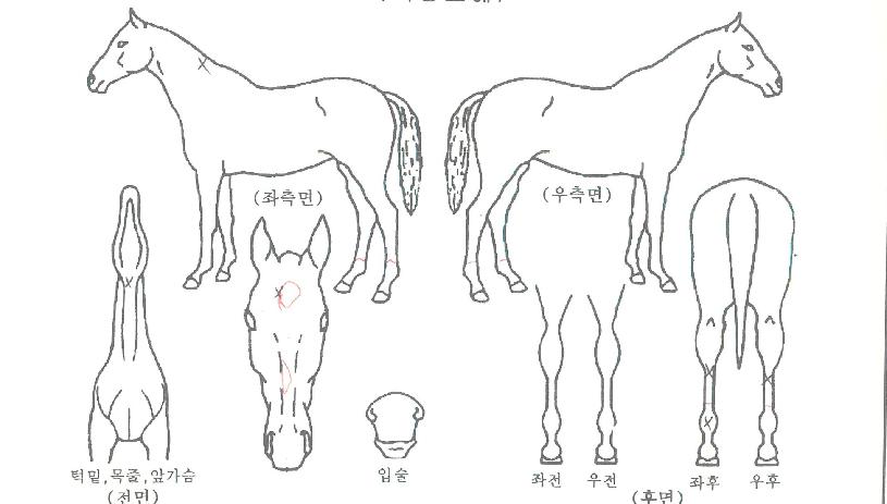 ����� ����,���,�޸�,�λ�,�ٸ��� Ư¡����