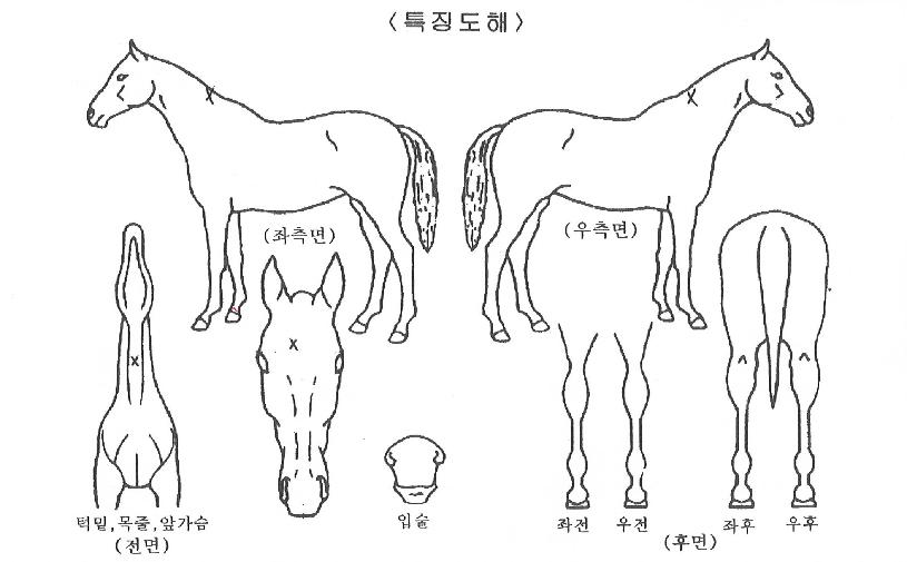 �ݼ������� ����,���,�޸�,�λ�,�ٸ��� Ư¡����