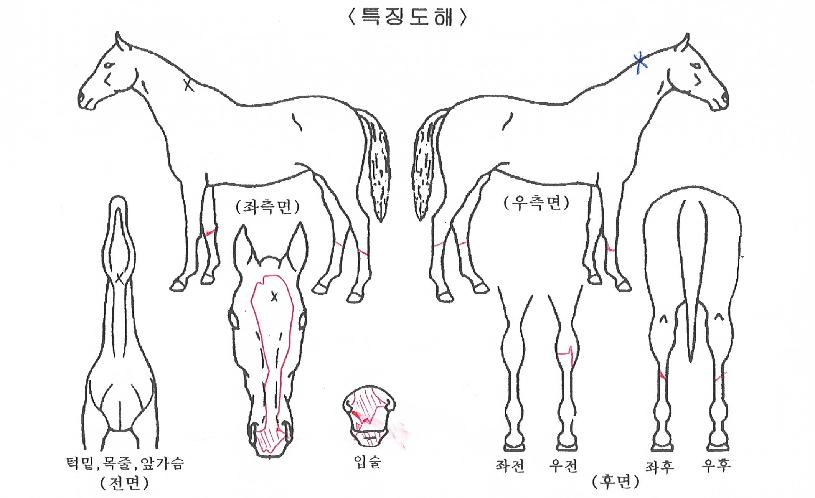 ����Ǯ������ ����,���,�޸�,�λ�,�ٸ��� Ư¡����