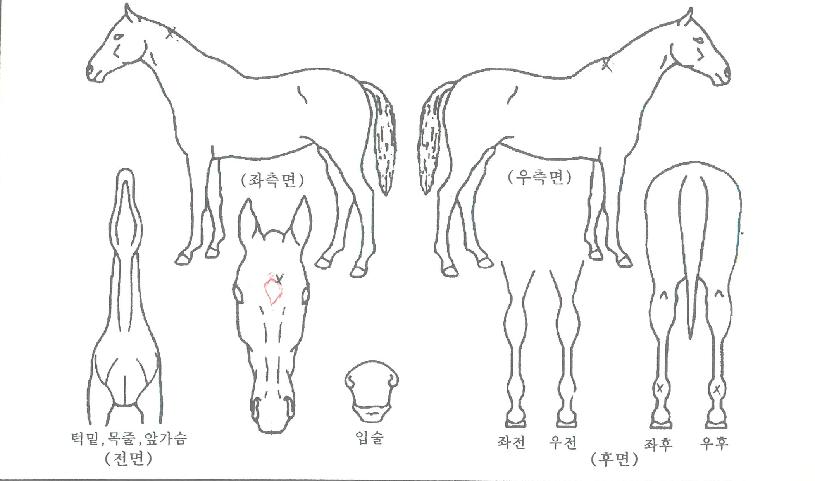 ���̽�Ÿ�� ����,���,�޸�,�λ�,�ٸ��� Ư¡����