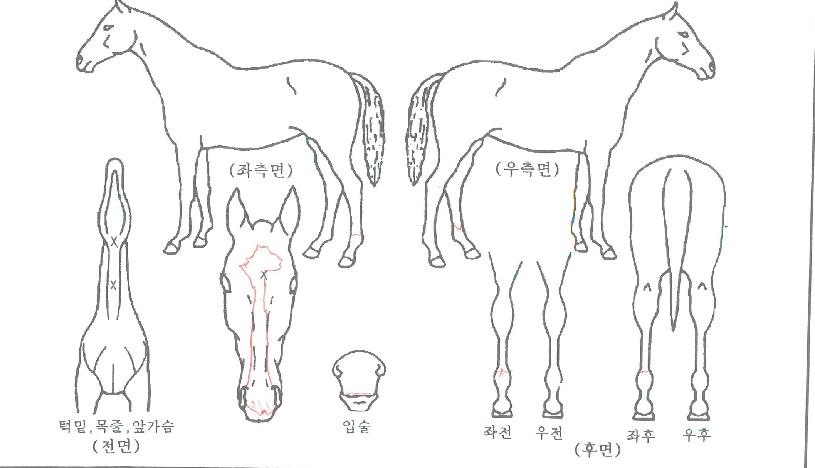 ����ũ�����ڸ��� ����,���,�޸�,�λ�,�ٸ��� Ư¡����