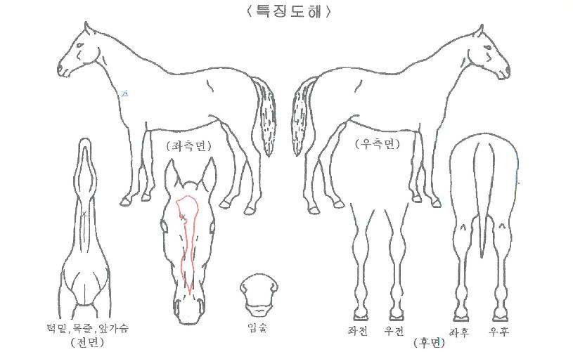 ���̽������� ����,���,�޸�,�λ�,�ٸ��� Ư¡����