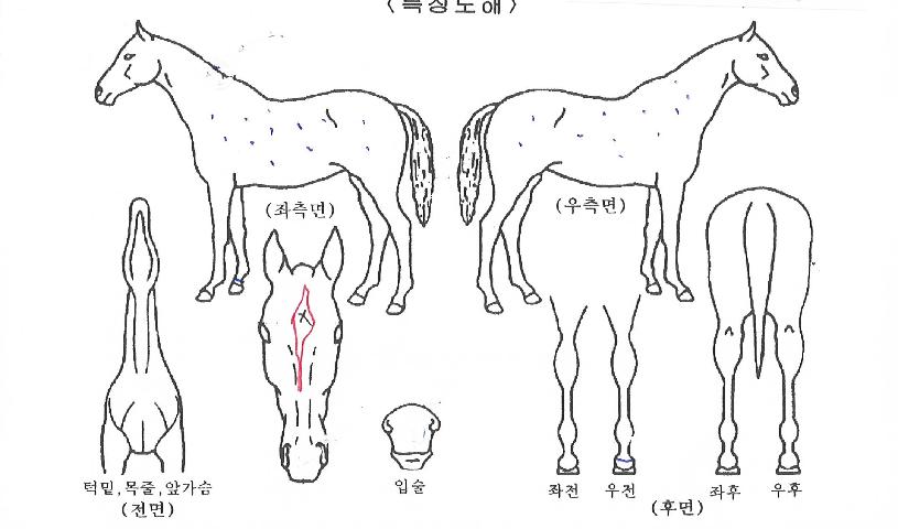 ������Ű�� ����,���,�޸�,�λ�,�ٸ��� Ư¡����