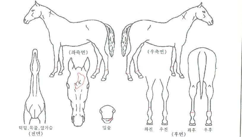 �ε������ ����,���,�޸�,�λ�,�ٸ��� Ư¡����