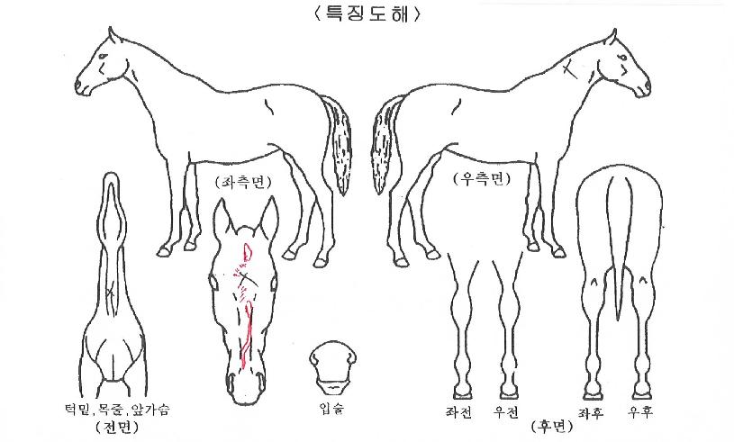 ��Ű������ ����,���,�޸�,�λ�,�ٸ��� Ư¡����