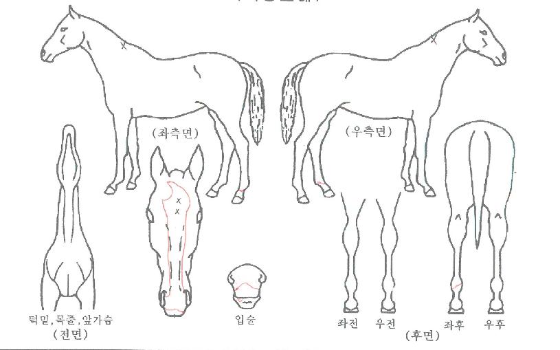 �������� ����,���,�޸�,�λ�,�ٸ��� Ư¡����