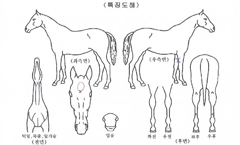 ��Ʈ���� ����,���,�޸�,�λ�,�ٸ��� Ư¡����