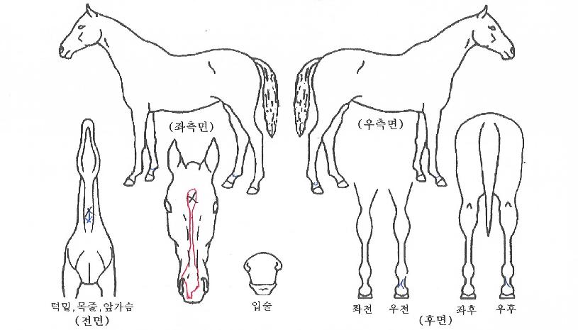 ��ũ������ ����,���,�޸�,�λ�,�ٸ��� Ư¡����