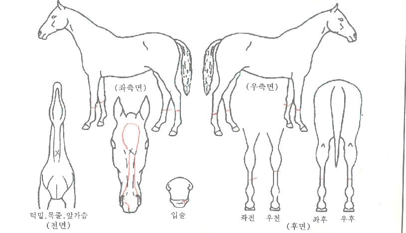 ���������� ����,���,�޸�,�λ�,�ٸ��� Ư¡����