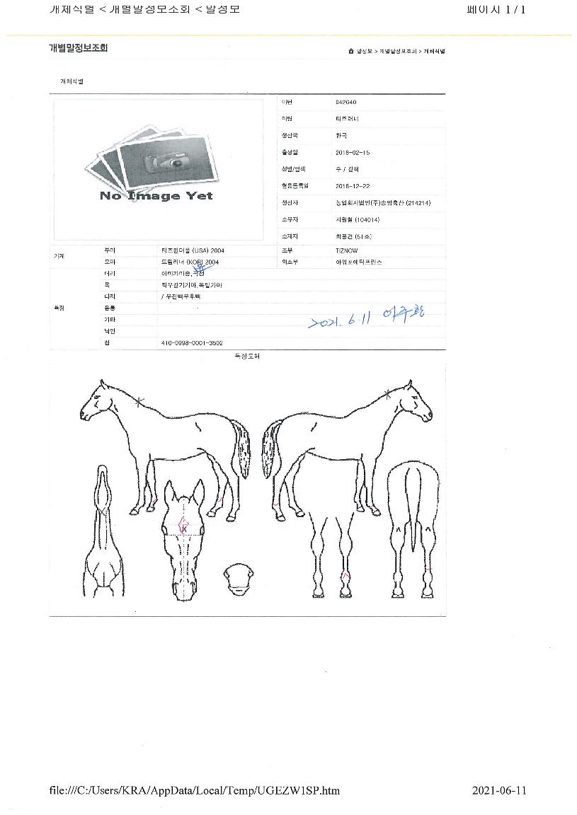 ƼÁî·¯³ÊÀÇ Ãø¸é,¿ì¸é,µÞ¸é,µÎ»ó,´Ù¸®ÀÇ Æ¯Â¡µµÇØ