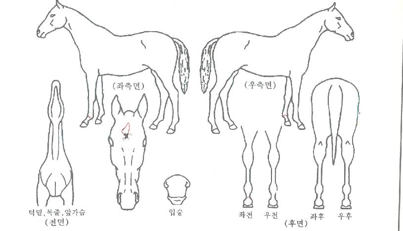 ��´������ ����,���,�޸�,�λ�,�ٸ��� Ư¡����