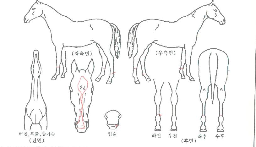 ��ü���͹����� ����,���,�޸�,�λ�,�ٸ��� Ư¡����