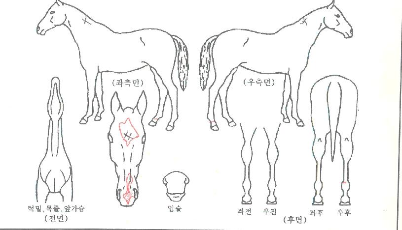 ����ũ�� ����,���,�޸�,�λ�,�ٸ��� Ư¡����